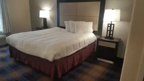 Regency inn and Suites - Room