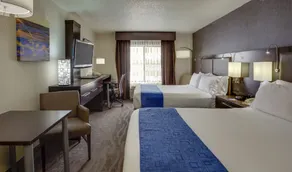 Holiday Inn Express Hotel & Suites Meadowlands Area by IHG - Chambre