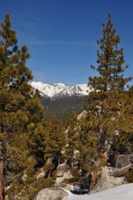 North Lake Lodges & Villas - Vue de la chambre