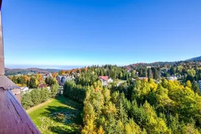 Alpin Resort Hotel - View from room