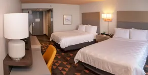 Wyndham Houston Hobby Airport - Chambre