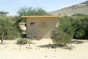 Negev Camel Ranch - Room