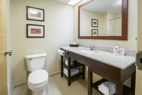 Comfort Inn & Suites DeLand - near University - Salle de bain