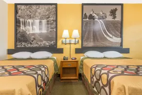 Super 8 by Wyndham Williamsburg - Room