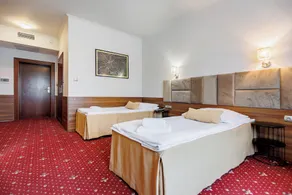 Hotel Cristal Park - Habitación