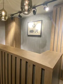 Aden Life - Reception