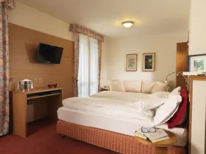 Hotel Miralago - Room