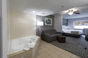 Country Inn & Suites by Radisson, Lake Norman Huntersville, NC - Chambre