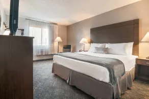 American Inn & Suites Metro Airport - Chambre