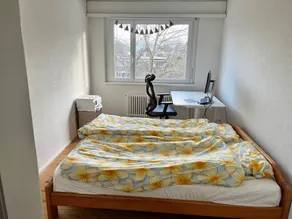 Green Basel Home - 5 beds free parking - Rom