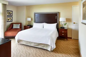 Atlanta Marriott Alpharetta - Chambre