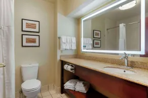 Comfort Inn & Suites Jackson North - Badeværelse