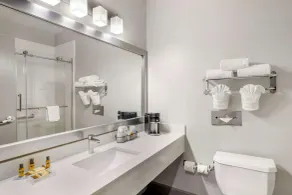 Best Western Plus Hobby Airport Inn & Suites - Salle de bain