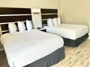 Americas Best Value Inn Arlington - Room