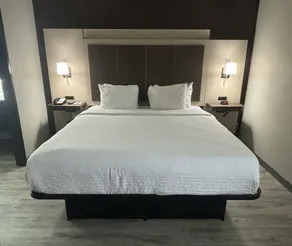 Quality Inn & Suites at Airport Blvd I-65 - Zimmer