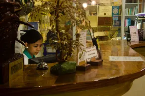 Deep Forest Garden Hotel - Reception