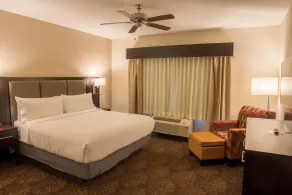 Holiday Inn Trophy Club by IHG - Chambre