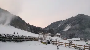 Hotel Aschauer Hof z'Fritzn - Udsigt fra værelset