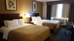 Quality Inn Ozark-Springfield South - Rum