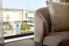 Embassy Suites by Hilton Syracuse Destiny USA - Vistas desde la habitación