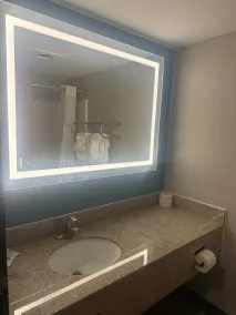 Quality Inn & Suites Detroit Metro Airport - Salle de bain