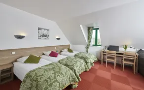 Logis Hotel Du Lac - Chambre