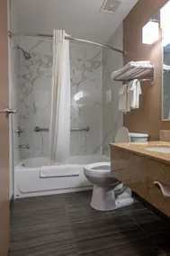 Quality Inn Noblesville-Indianapolis - Badeværelse