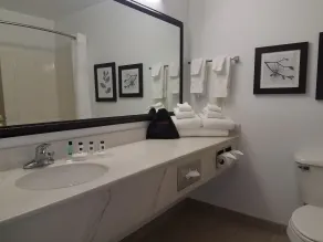 Country Inn & Suites by Radisson, Indianapolis Airport South, IN - Salle de bain