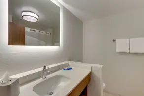Holiday Inn Express & Suites - Roanoke – Civic Center - Salle de bain