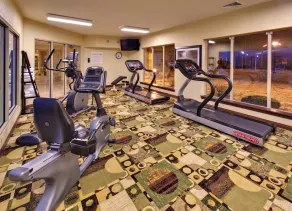 Holiday Inn Express Hotel & Suites Pleasant Prairie-Kenosha by IHG - Fitness facility