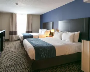 Comfort Suites Benton Harbor - St Joseph - Chambre