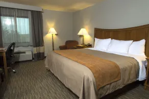 Comfort Inn South - Springfield - Chambre