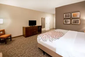 La Quinta by Wyndham Durango - Chambre