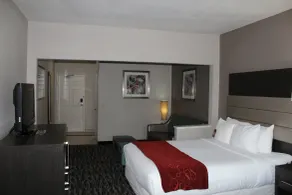 Comfort Suites Lewisville - Dallas - Chambre