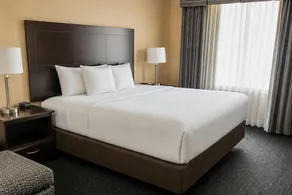 Comfort Inn & Suites Ambassador Bridge - Værelse
