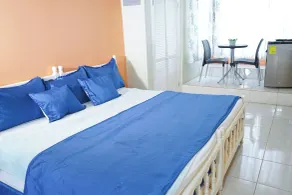 AYURVEDA RESORT - Room