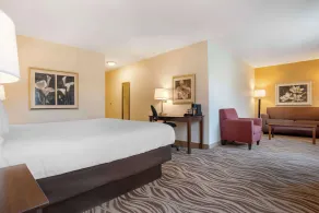Best Western Plus Oak Mountain Inn - Værelse