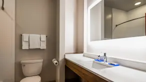 Holiday Inn Express & Suites Detroit - Farmington Hills by IHG - Salle de bain