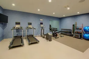 Homewood Suites by Hilton South Bend Notre Dame Area - Salle de remise en forme