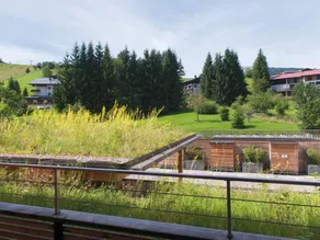 A-ROSA Ifen Hotel Kleinwalsertal - Vue de la chambre