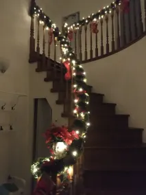 The Blue Cottage B&B - Interior entrance