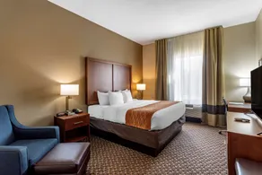 Comfort Inn & Suites Atoka-Millington - Chambre