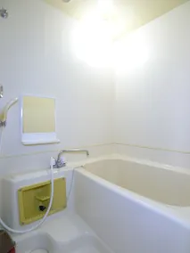Hotel Shin Makomo - Bagno