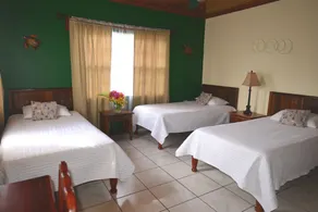 Seagrape Plantation Resort & Dive Center - Room