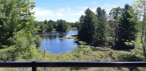 Pine Brae Eco-Resort - Udsigt fra værelset