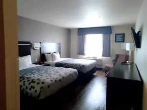 Econo Lodge Inn & Suites Springfield Main Street - Chambre