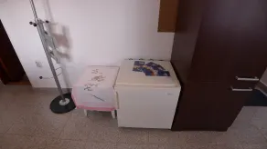 Apartment Premantura - Rum