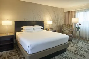 Hilton Cincinnati Airport - Chambre