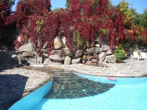 Hotel Lichtenstern - Piscina