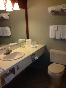 Quality Inn & Suites Bay Front - Salle de bain